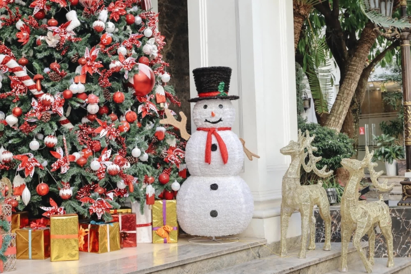 Festive Experiences to Celebrate Christmas in Vietnam 2025