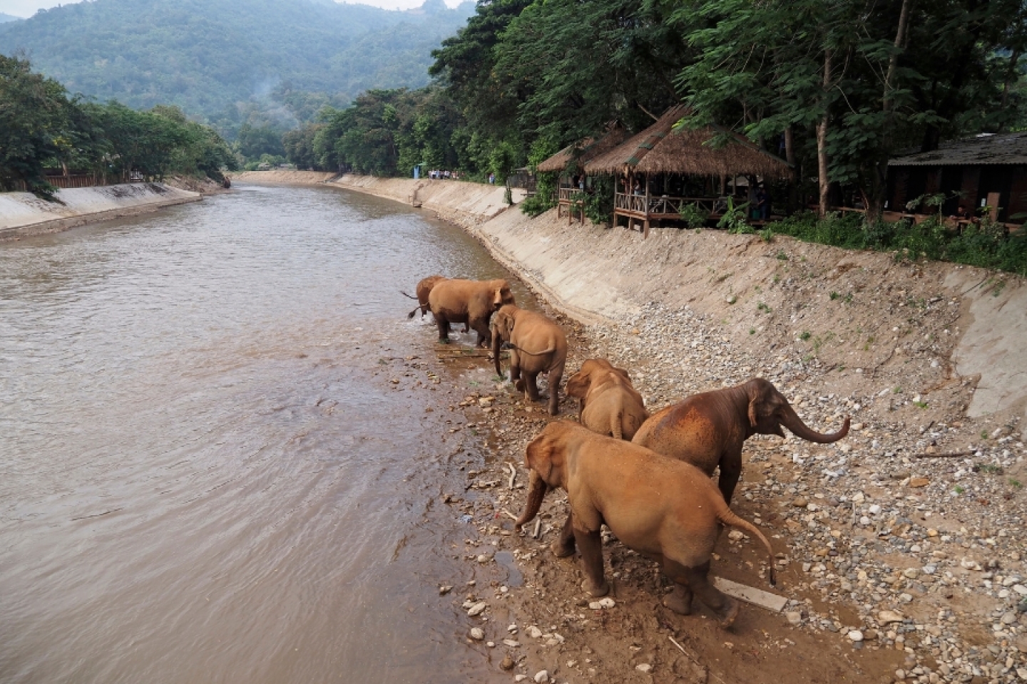 A Perfect Chiang Mai 3-Day Itinerary for First Timers
