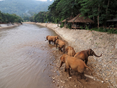 A Perfect Chiang Mai 3-Day Itinerary for First Timers