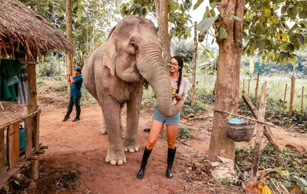 Day 4: Cooking with a renowned Lao Chef & Ethical Elephant Experience (B/L) - cooking-with-a-renowned-lao-chef-ethical-elephant-experience-bl-WPUUv4Wu.jpg