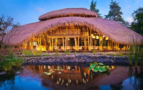 Day 1: Arrival in Ubud, A Gentle Beginning in Nature - arrival-in-ubud-a-gentle-beginning-in-nature-FbobKsvU.jpg