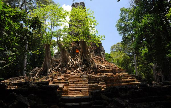 Day 5: Hidden Temples & Jungle Mindfulness (B/L) - hidden-temples-jungle-mindfulness-bl-2MUWFHej.jpg