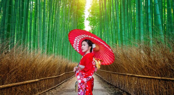 Day 7: ARASHIYAMA BAMBOO, TEA CEREMONY & GOLDEN TEMPLE (B) - arashiyama-bamboo-tea-ceremony-golden-temple-b-eCbXHvc3.jpg
