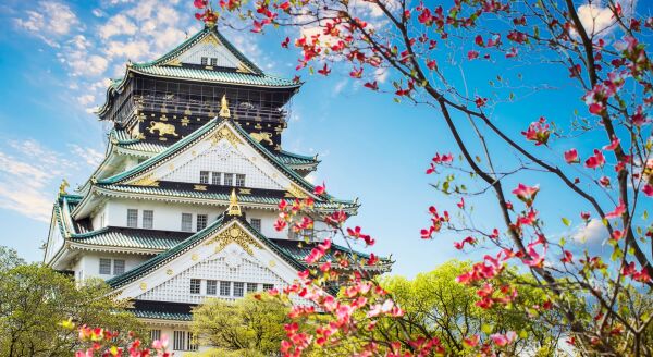Day 11: OSAKA: CASTLE HISTORY, MARKET CULTURE & DOTONBORI NIGHTS (B) - osaka-castle-history-market-culture-dotonbori-nights-b-Z62KSswA.jpg