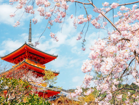 7-Day Japan Highlights on a Budget