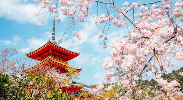 Day 8: KYOTO HERITAGE: TEMPLES, OLD STREETS & CASTLE HISTORY (B) - kyoto-heritage-temples-old-streets-castle-history-b-nmKqwfko.jpg
