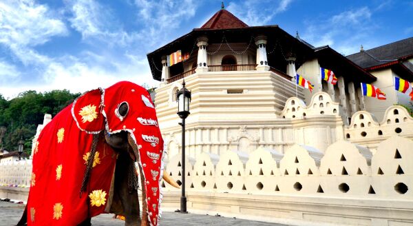 Day 5: SPICE GARDENS, MATALE & THE HILL CAPITAL OF KANDY (B, L, D) - spice-gardens-matale-the-hill-capital-of-kandy-b-l-d-pfUWeBHb.jpg