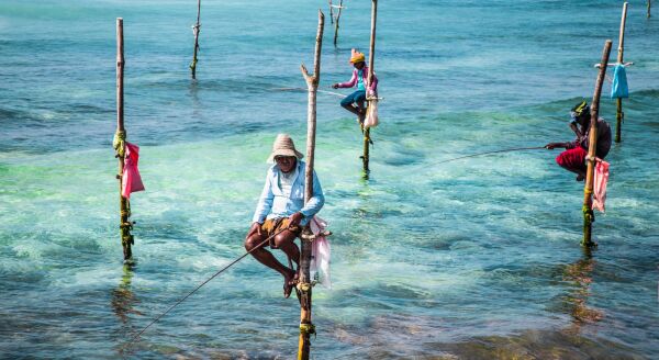 Day 8: STILT FISHERMEN & THE DUTCH FORTRESS OF GALLE (B, L, D) - stilt-fishermen-the-dutch-fortress-of-galle-b-l-d-C9GwSTYC.jpg