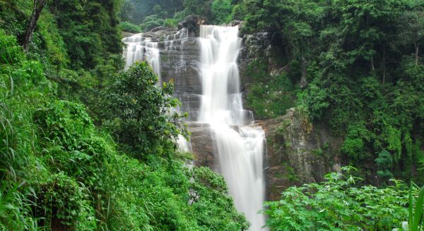 Day 4: TEA COUNTRY & THE LITTLE ENGLAND OF NUWARA ELIYA (B, L, D) - tea-country-the-little-england-of-nuwara-eliya-b-l-d-gviHu0hR.jpg