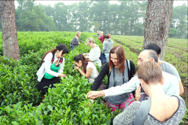 Day 2:  Experience Vietnamese Lifestyle In The Countryside With Ba Vi Eco Tour (B/L) - Group Tour - experience-vietnamese-lifestyle-in-the-countryside-with-ba-vi-eco-tour-bl-group-tour-R6YP3Qiv.jpg