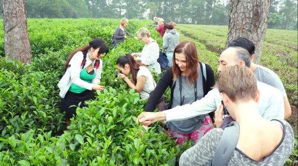 Day 2:  Experience Vietnamese Lifestyle In The Countryside With Ba Vi Eco Tour (B/L) - Group Tour - experience-vietnamese-lifestyle-in-the-countryside-with-ba-vi-eco-tour-bl-group-tour-BnXREtWe.jpg