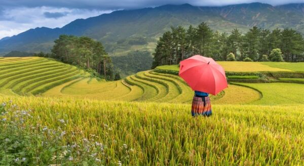 Day 2: JOURNEY INTO THE HIGHLANDS OF SAPA  - journey-into-the-highlands-of-sapa-ArLKmU4J.jpg