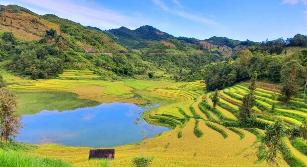 Day 4: BAMBOO FOREST ADVENTURE & OVERLAND JOURNEY TO BAC HA (B/L)  - bamboo-forest-adventure-overland-journey-to-bac-ha-bl-r8C6hVeJ.jpg
