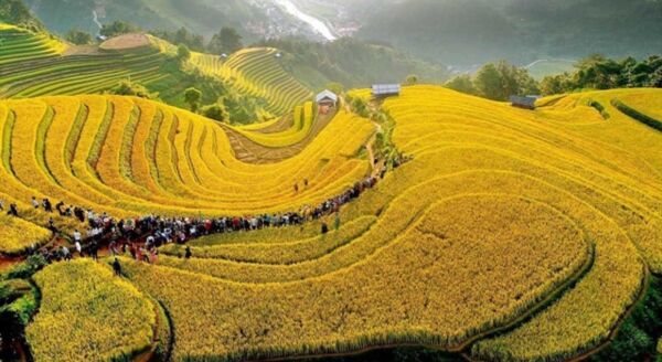 Day 5: EXPLORE BAC HA MARKET & JOURNEY TO HOANG SU PHI (B/L/D) - explore-bac-ha-market-journey-to-hoang-su-phi-bld-cXUlzTln.jpg