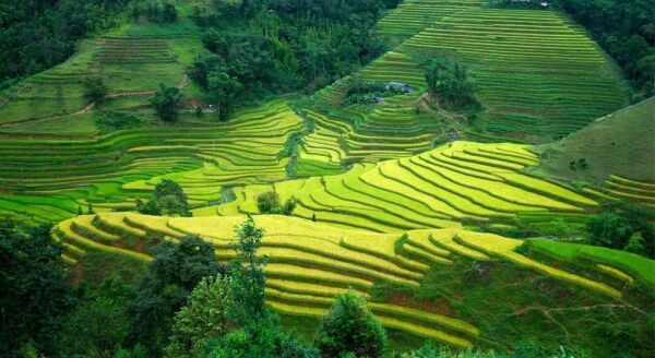 Day 6: DISCOVER THE MAJESTIC RICE TERRACES OF HOANG SU PHI (B/L)  - discover-the-majestic-rice-terraces-of-hoang-su-phi-bl-69UzxHR6.jpg