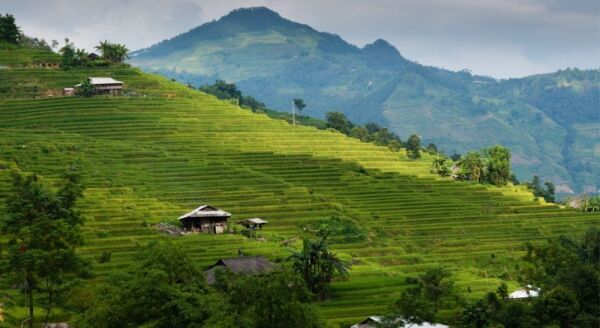 Day 6: DISCOVER THE MAJESTIC RICE TERRACES OF HOANG SU PHI (B/L)  - discover-the-majestic-rice-terraces-of-hoang-su-phi-bl-8fYQ6QqS.jpg