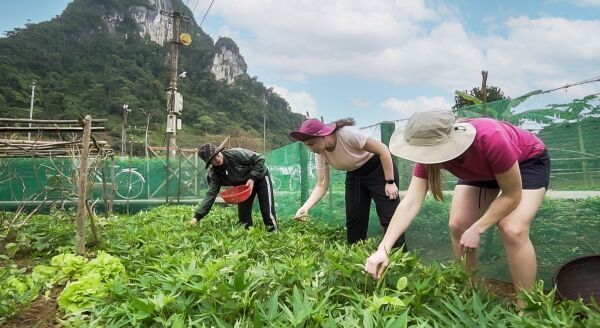 Day 15: VISIT LOCAL FARMS BY BIKE – PHONG NHA – GROUP TOUR (B) - visit-local-farms-by-bike-phong-nha-group-tour-b-C139uuHA.jpg