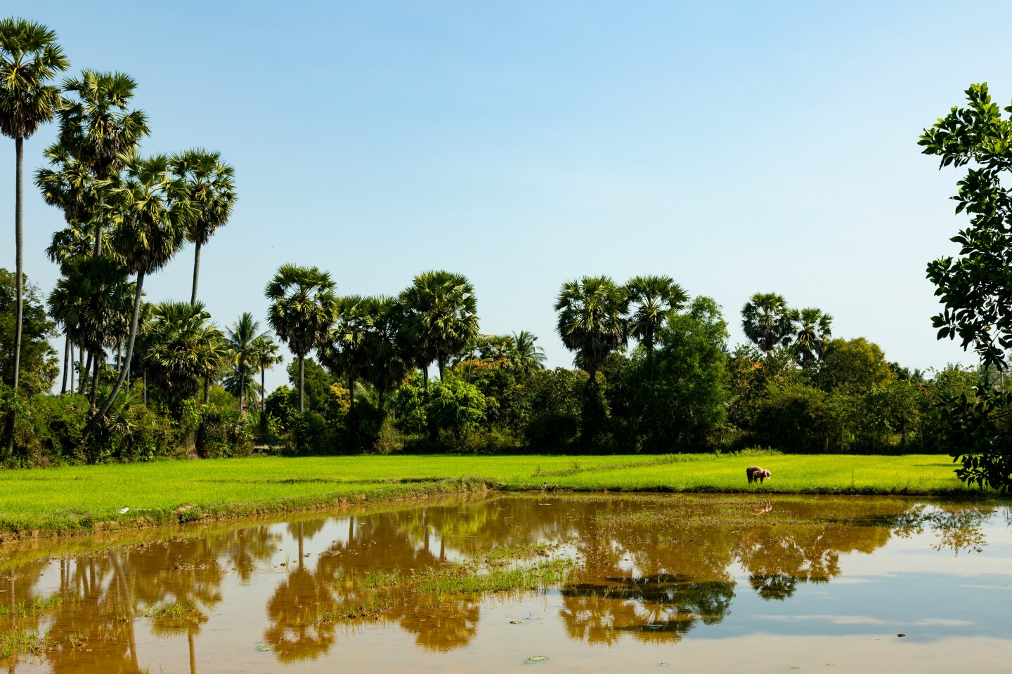 Beyond Angkor: Discovering Siem Reap’s Living Heritage