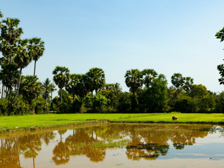 Beyond Angkor: Discovering Siem Reap’s Living Heritage