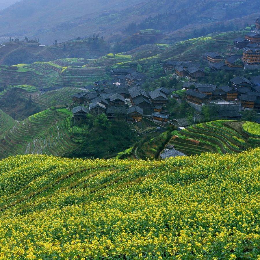 Long Sheng - Realistic Asia