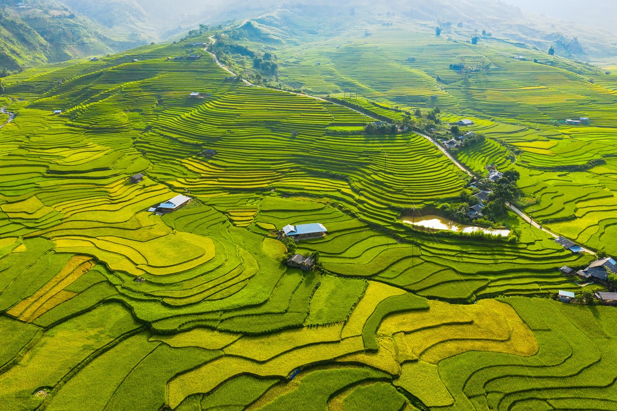 Sapa - Realistic Asia